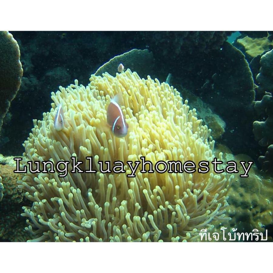 Lungkluay Homestay Ko Kut Bagian luar foto
